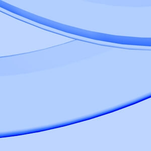 Institutions and Capital Markets